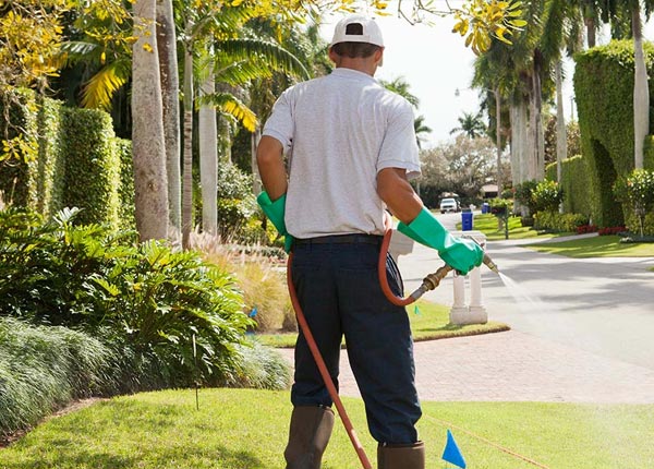About Saint Hilaire MN Pest Control